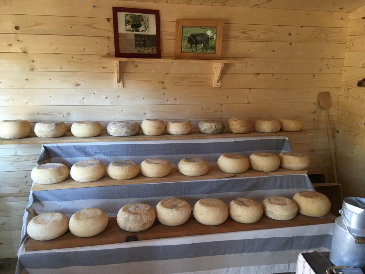 Maison De Campagne Sarragia Zewnętrze zdjęcie